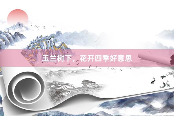 玉兰树下，花开四季好意思